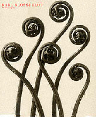 Book cover for Karl Blossfeldt