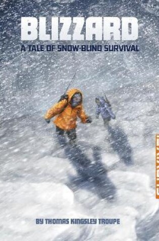 Cover of Blizzard