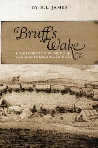 Cover of Bruff's Wake