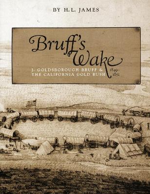 Book cover for Bruff's Wake