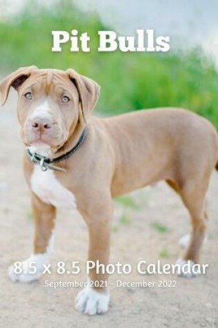 Cover of Pitbulls 8.5 X 8.5 Photo Calendar September 2021 -December 2022