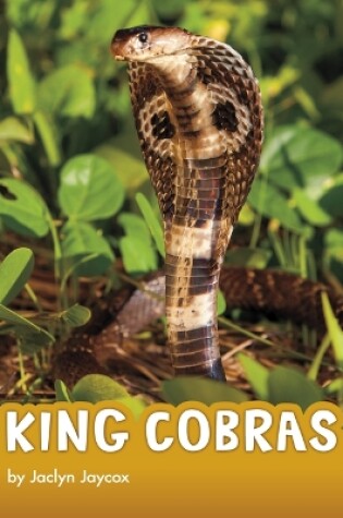 Cover of King Cobras