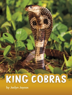 Book cover for King Cobras