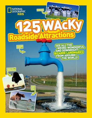 Book cover for 125 Wacky Roadside Attractions