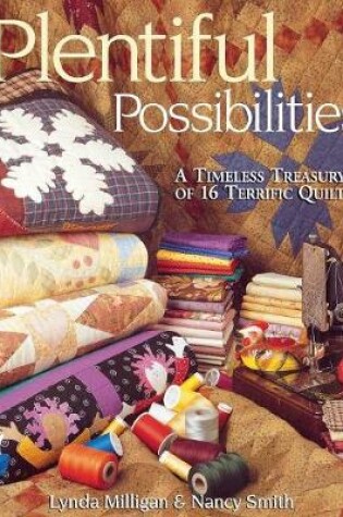 Cover of Plentiful Possibilities