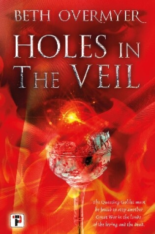 Cover of Holes in the Veil