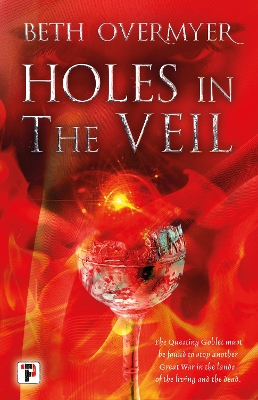 Book cover for Holes in the Veil