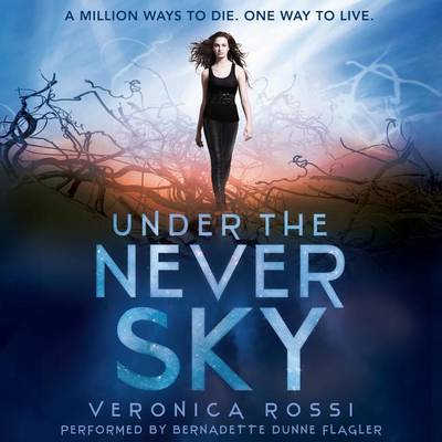 Book cover for Under the Never Sky