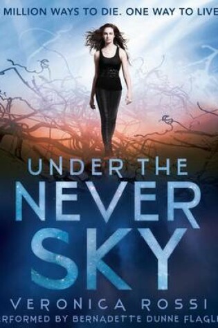 Cover of Under the Never Sky