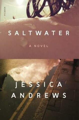 Cover of Saltwater