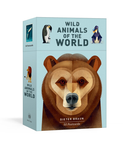 Book cover for Wild Animals of the World: 50 Postcards