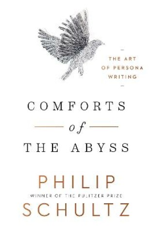 Cover of Comforts of the Abyss