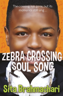 Book cover for Zebra Crossing Soul Song