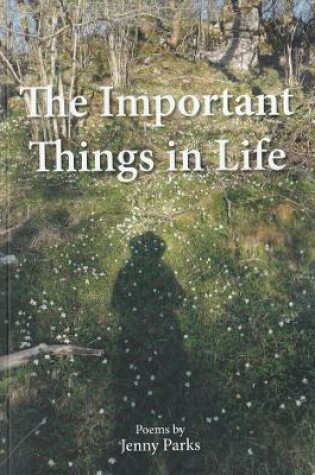 Cover of The Important Things in Life