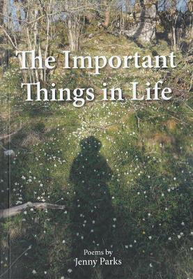 Book cover for The Important Things in Life