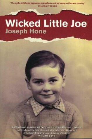 Cover of Wicked Little Joe