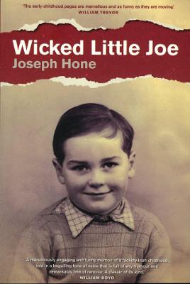 Book cover for Wicked Little Joe