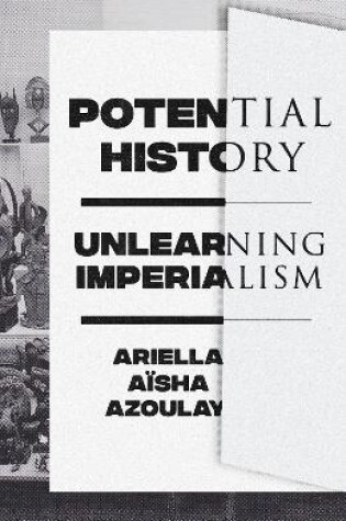 Cover of Potential History (Lbe)