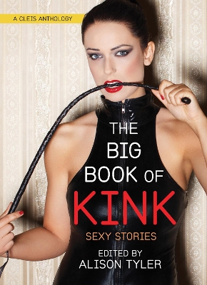 Book cover for The Big Book of Kink