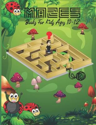 Book cover for Mazes Books For Kids Ages 10-12