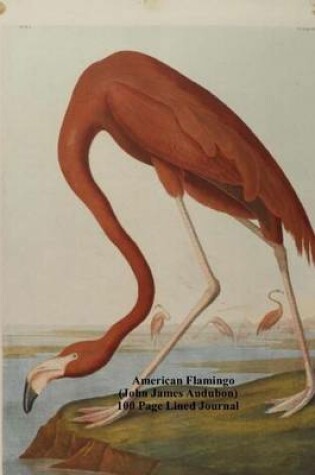 Cover of American Flamingo (John James Audubon) 100 Page Lined Journal