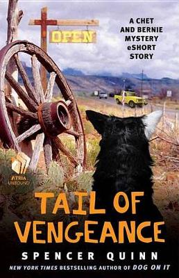 Cover of Tail of Vengeance