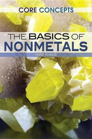 Cover of The Basics of Nonmetals