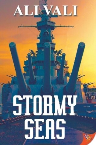 Cover of Stormy Seas