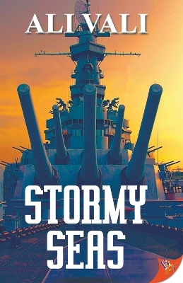 Book cover for Stormy Seas