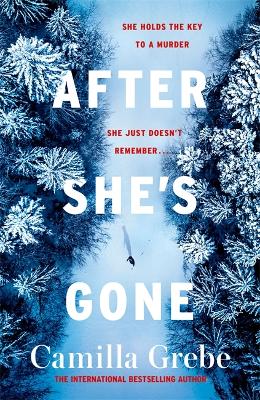 Book cover for After She's Gone