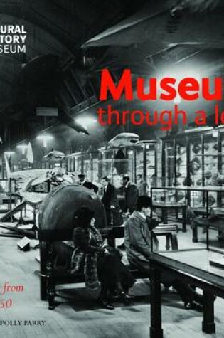 Cover of Museum Through a Lens