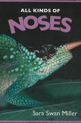 Cover of All Kinds of Noses