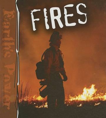Book cover for Fires