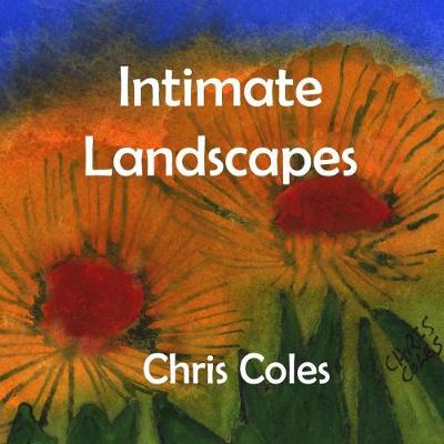 Book cover for Intimate Landscapes