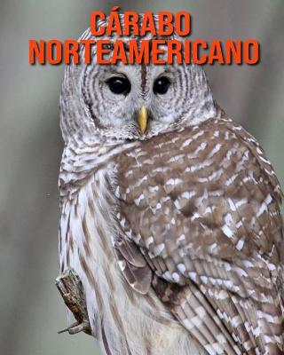 Book cover for Cárabo norteamericano