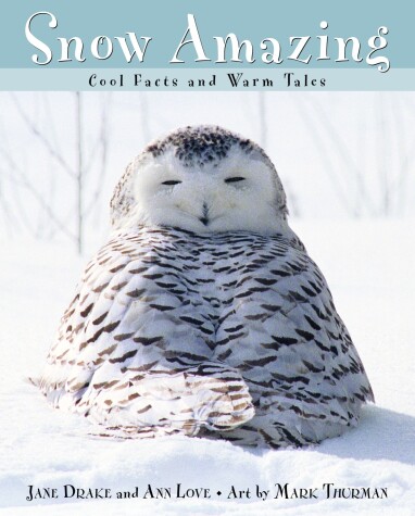 Book cover for Snow Amazing