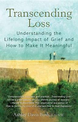 Book cover for Transcending Loss