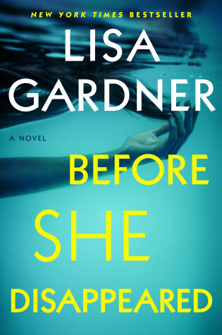 Book cover for Before She Disappeared