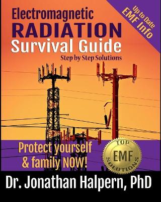 Book cover for Electromagnetic Radiation Survival Guide - Step by Step Solutions