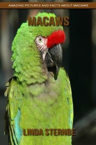 Cover of Macaws