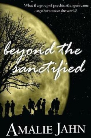 Cover of Beyond the Sanctified