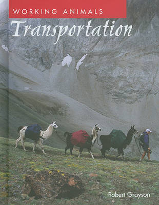 Book cover for Transportation