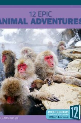 Cover of 12 Epic Animal Adventures