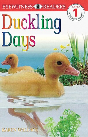 Book cover for DK Readers L1: Duckling Days
