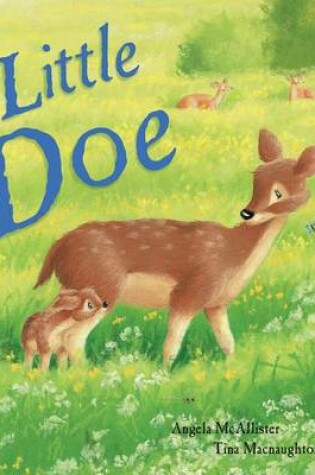 Cover of Little Doe