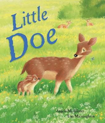 Book cover for Little Doe