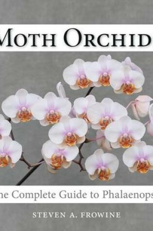 Cover of Moth Orchids