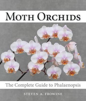 Book cover for Moth Orchids