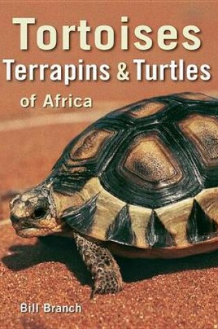 Cover of Tortoises, Terrapins & Turtles of Africa