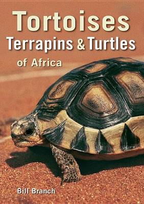 Book cover for Tortoises, Terrapins & Turtles of Africa